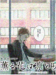 一路向北 观察类综艺